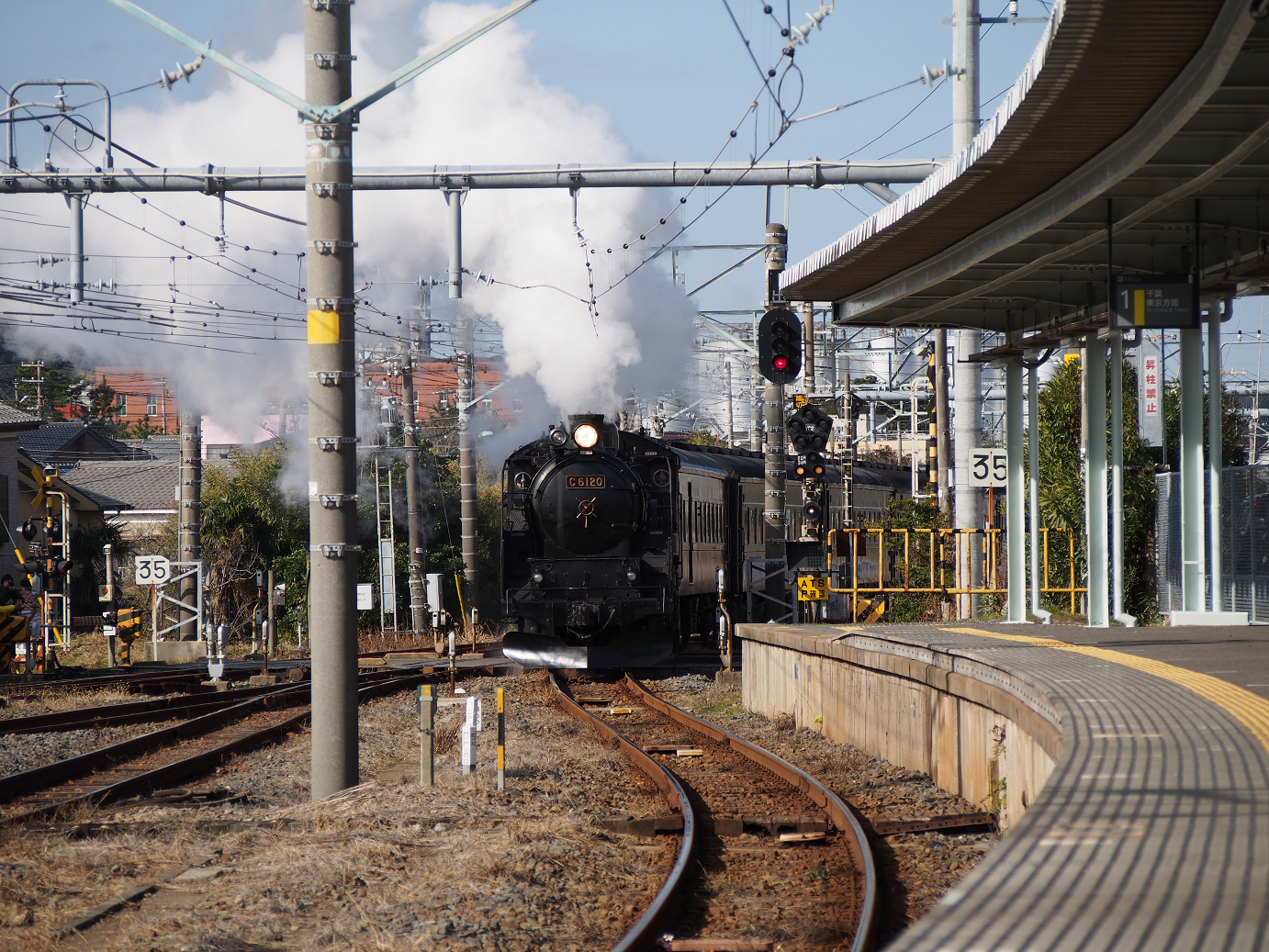 P203532.jpg