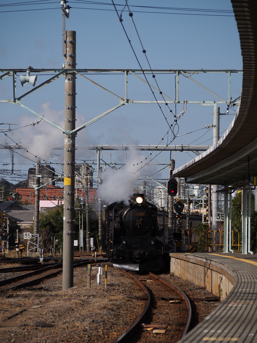 P203533.jpg