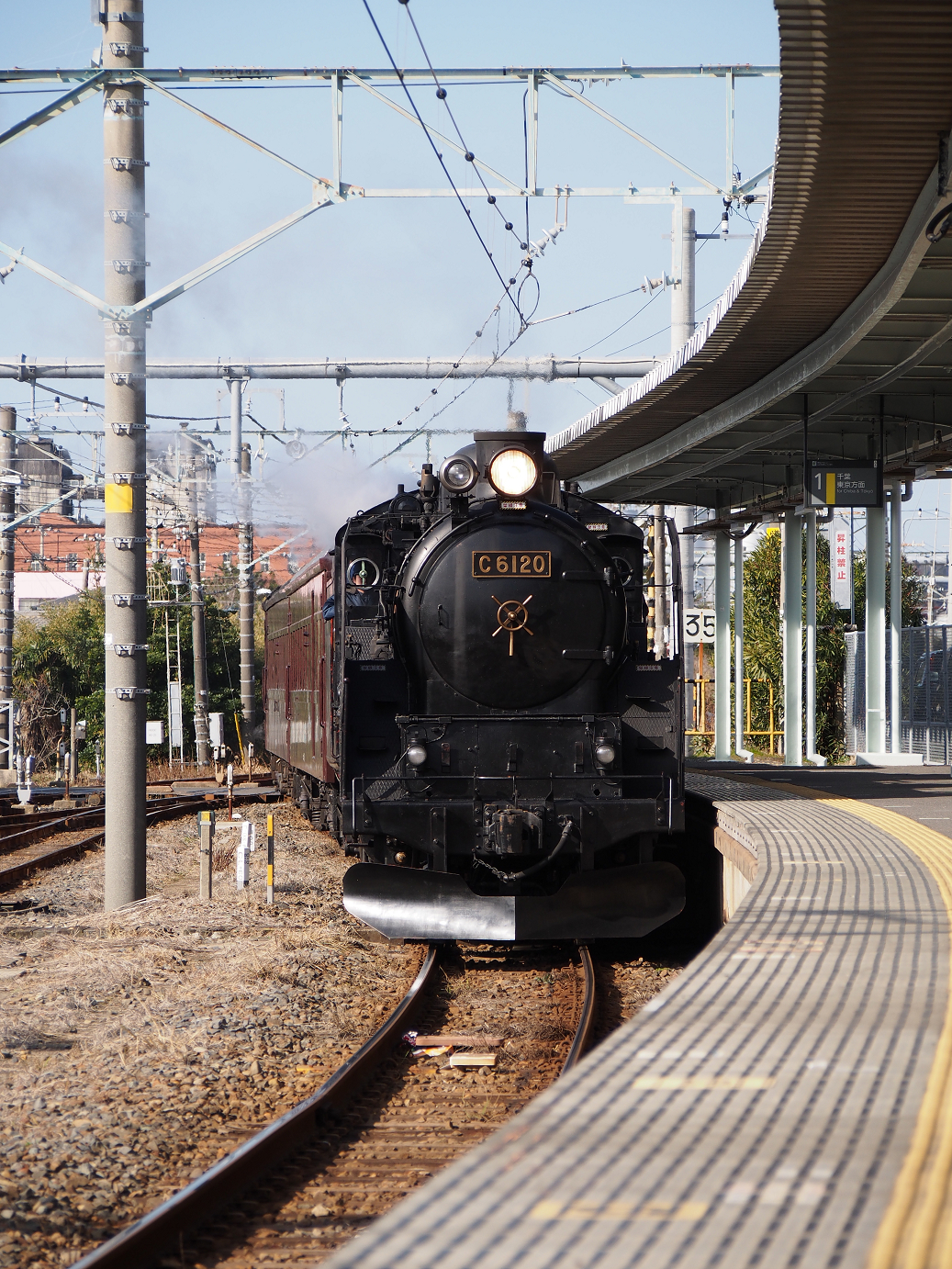 P203536.jpg