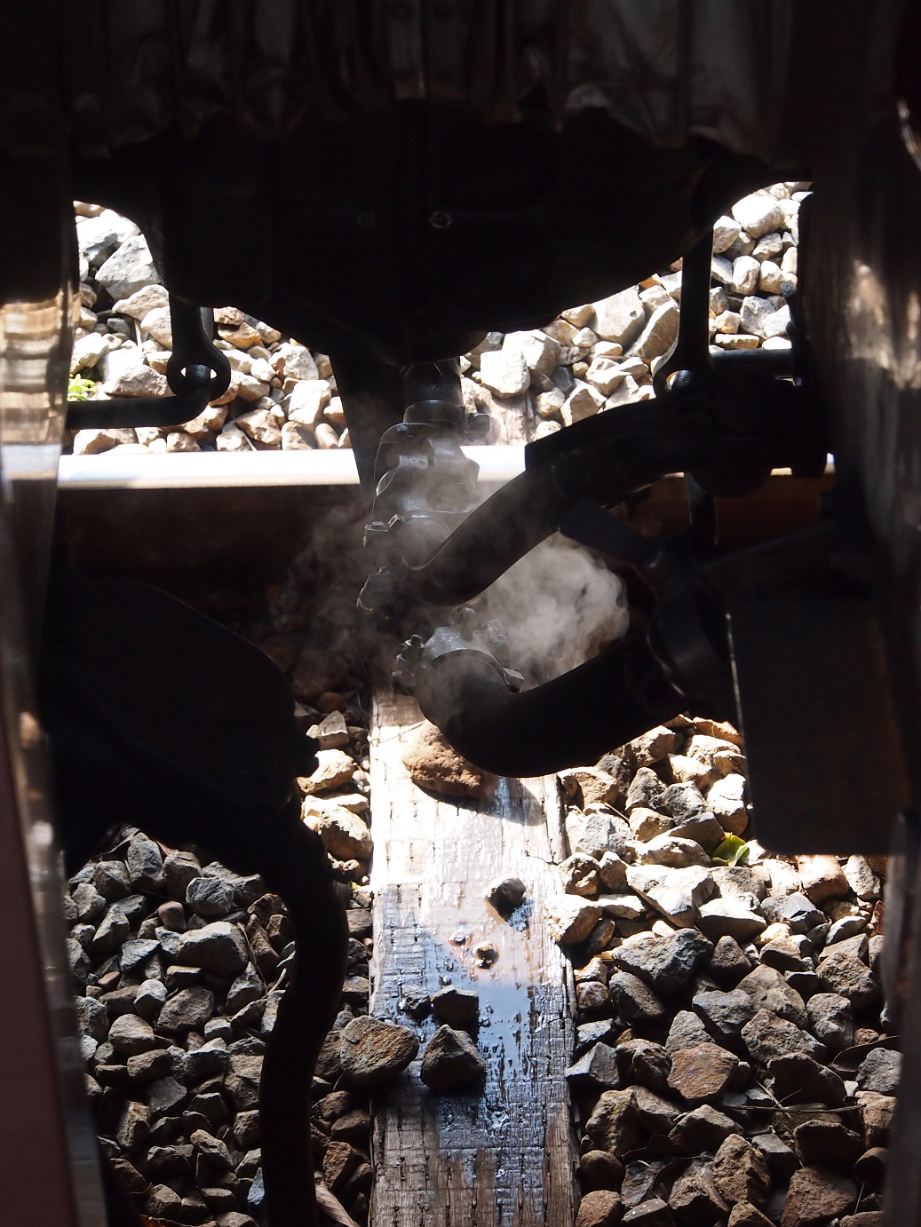 P203594.jpg