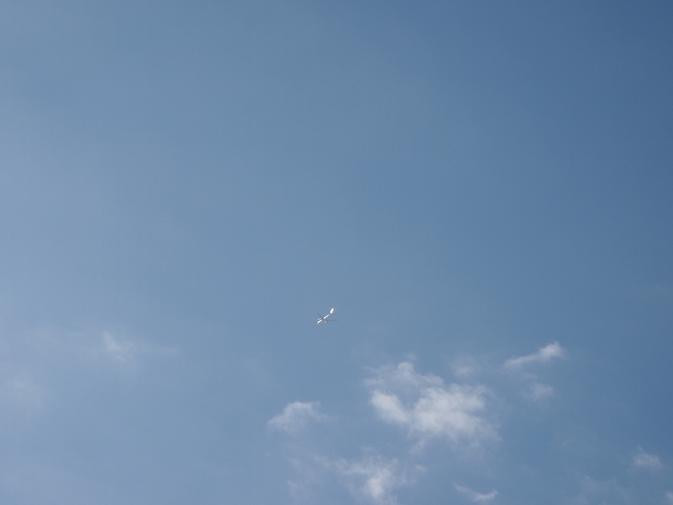 P203633.jpg