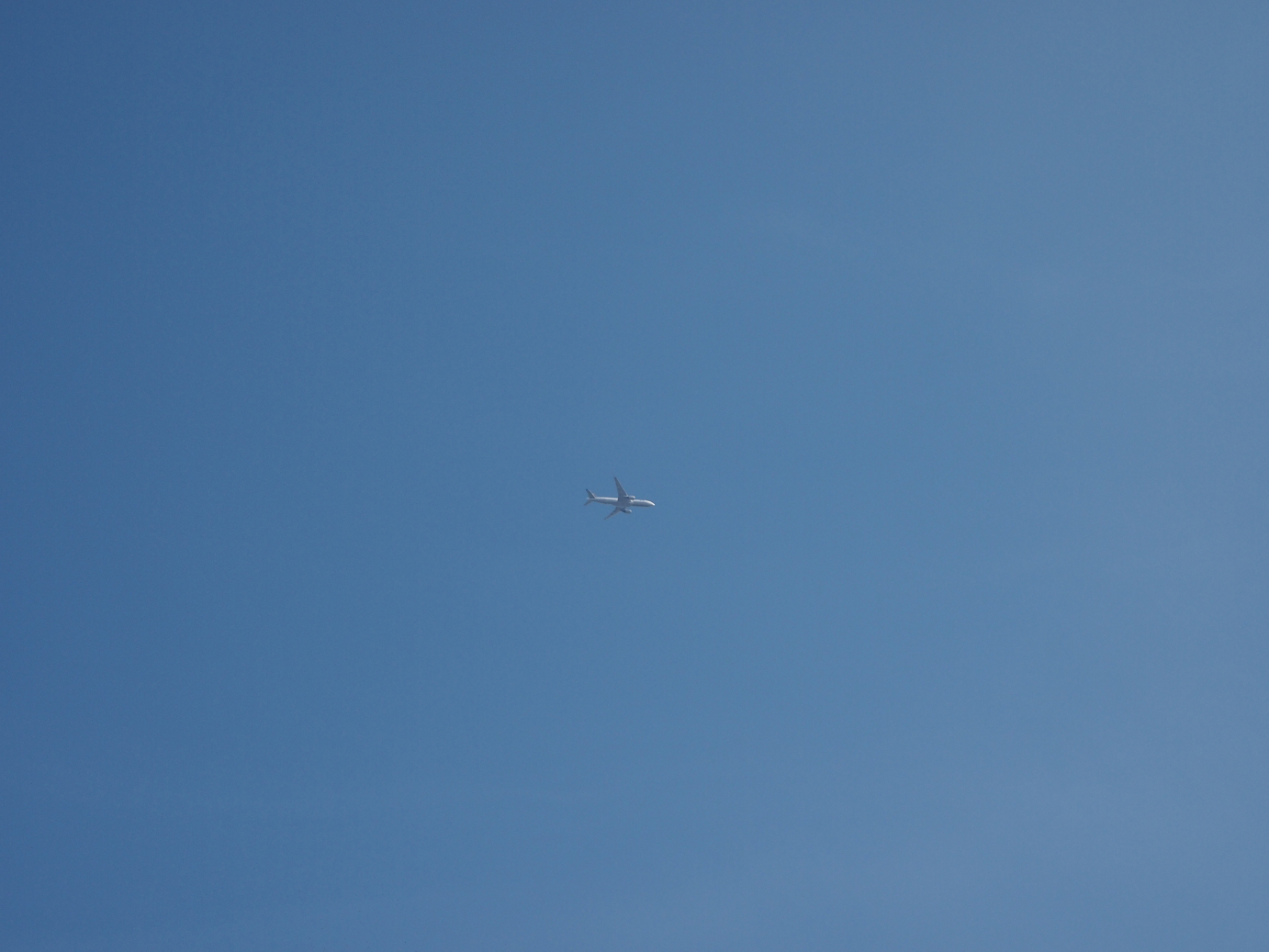 P203642.jpg