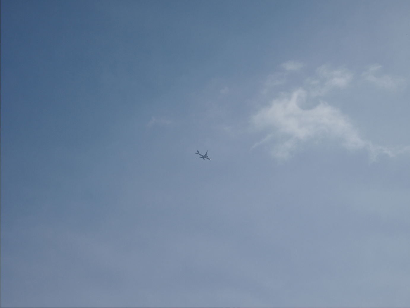 P203643.jpg