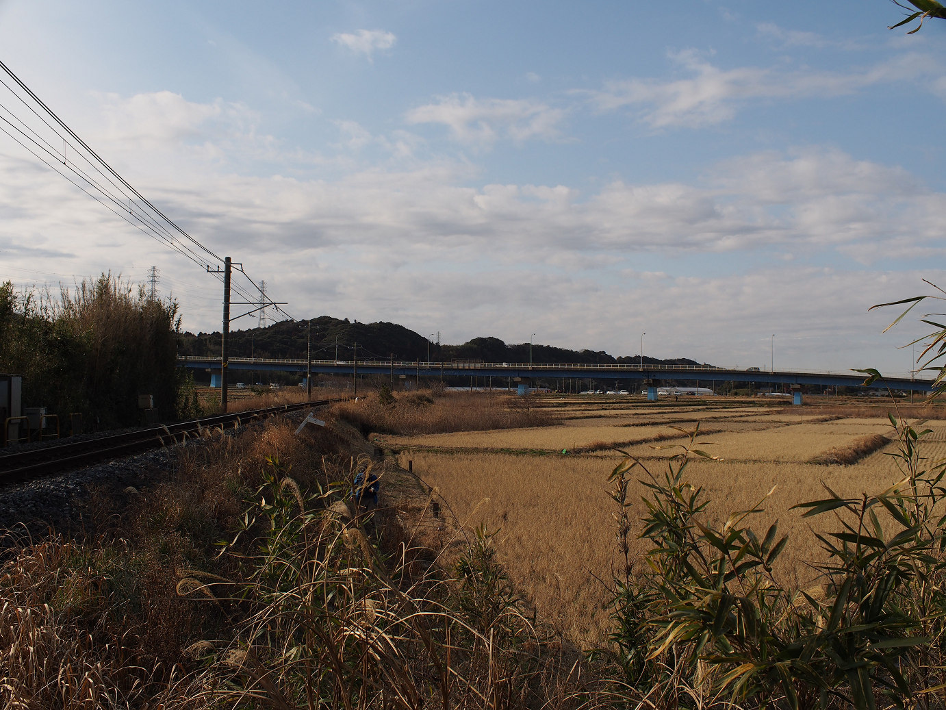 P203644.jpg
