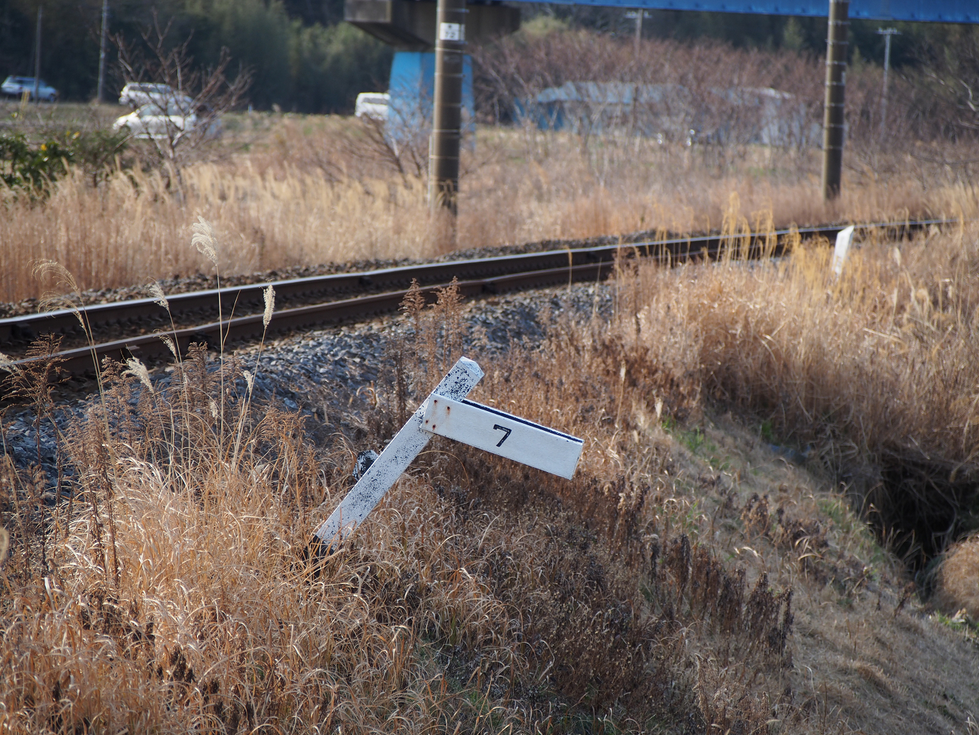 P203645.jpg