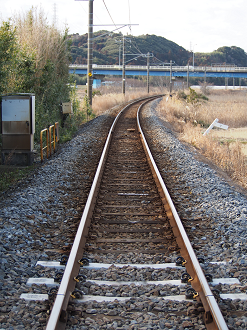 P203646_thumb.png