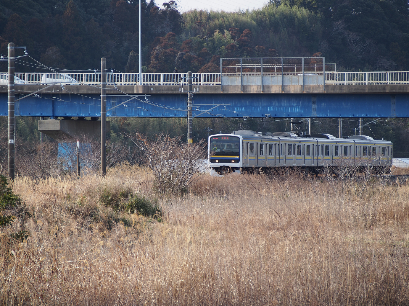 P203649.jpg