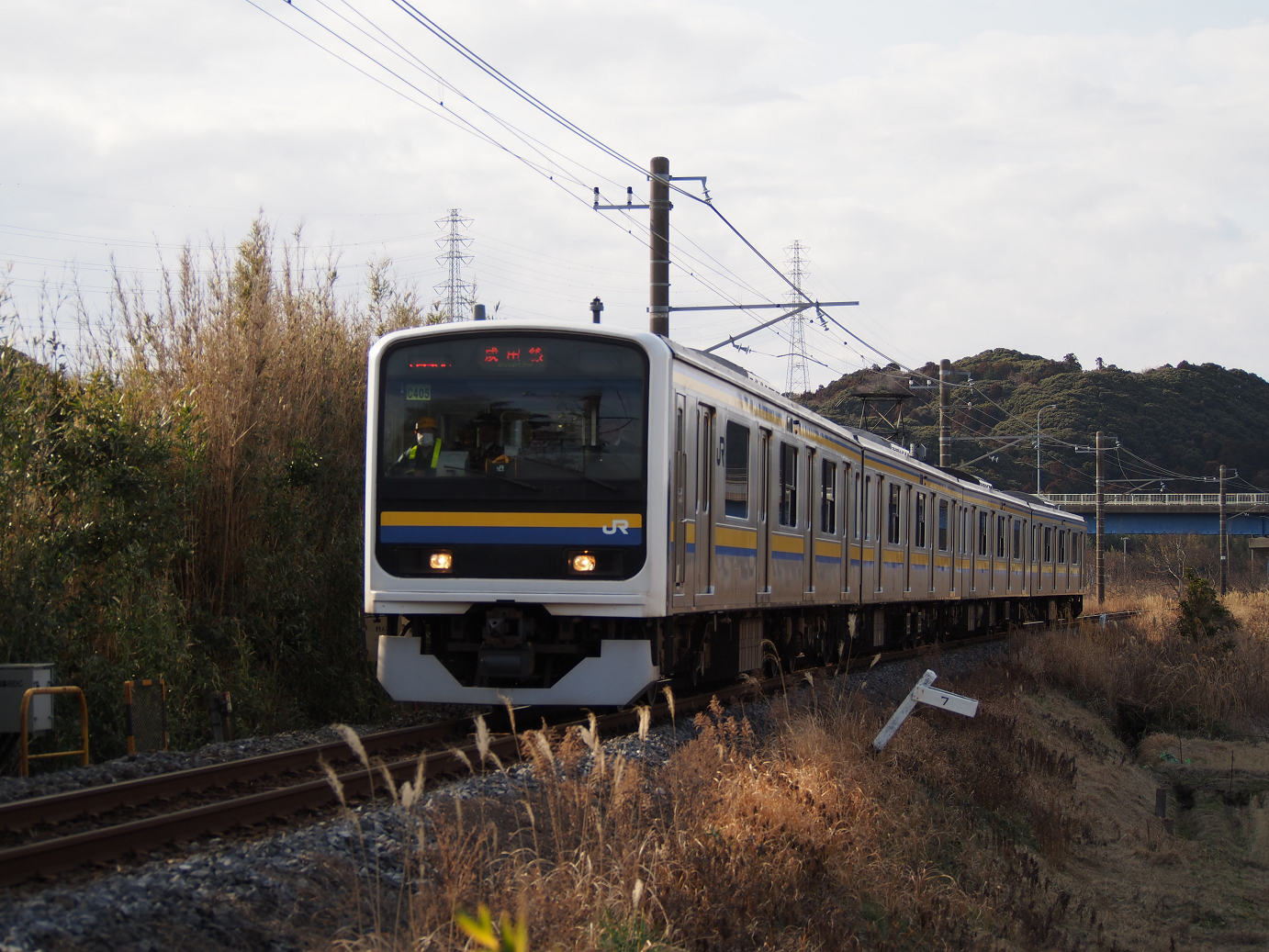P203650.jpg