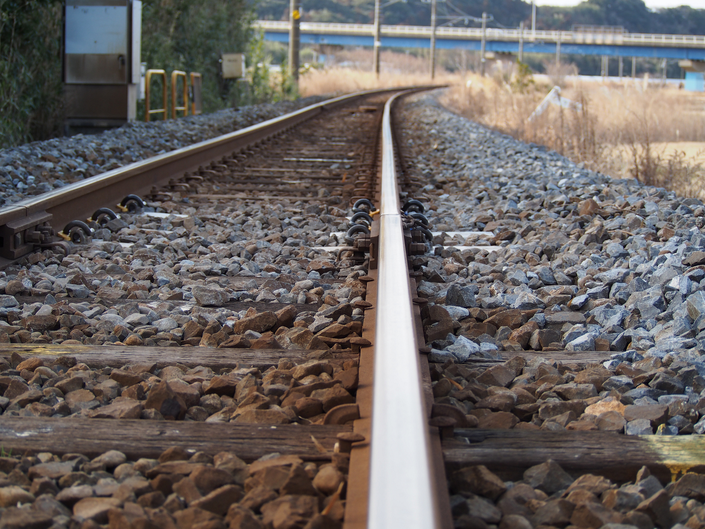 P203651.jpg
