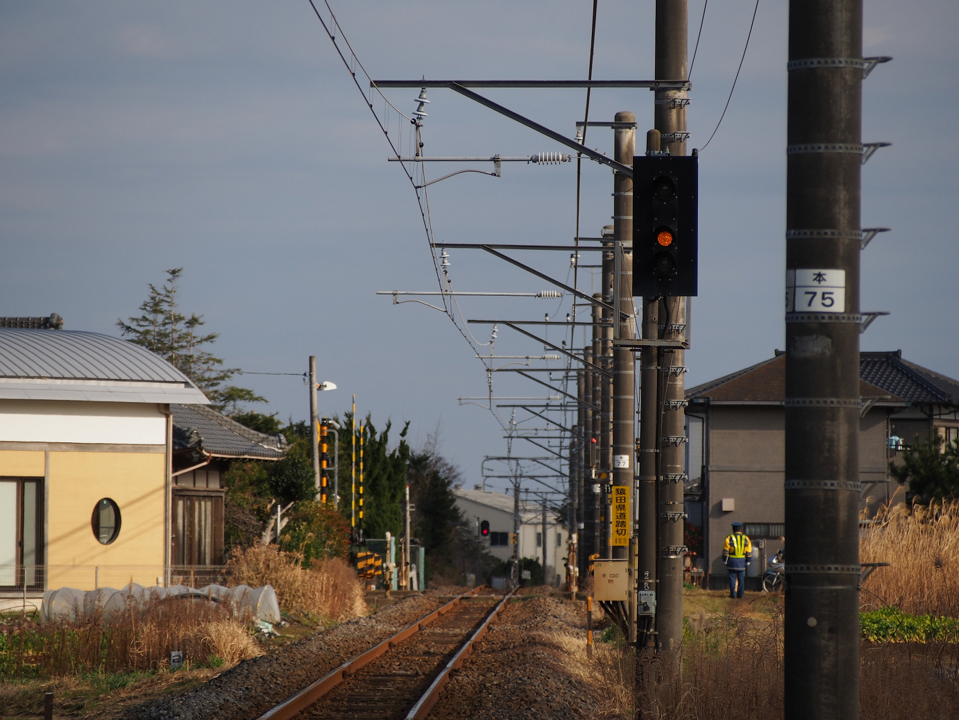 P203659.jpg