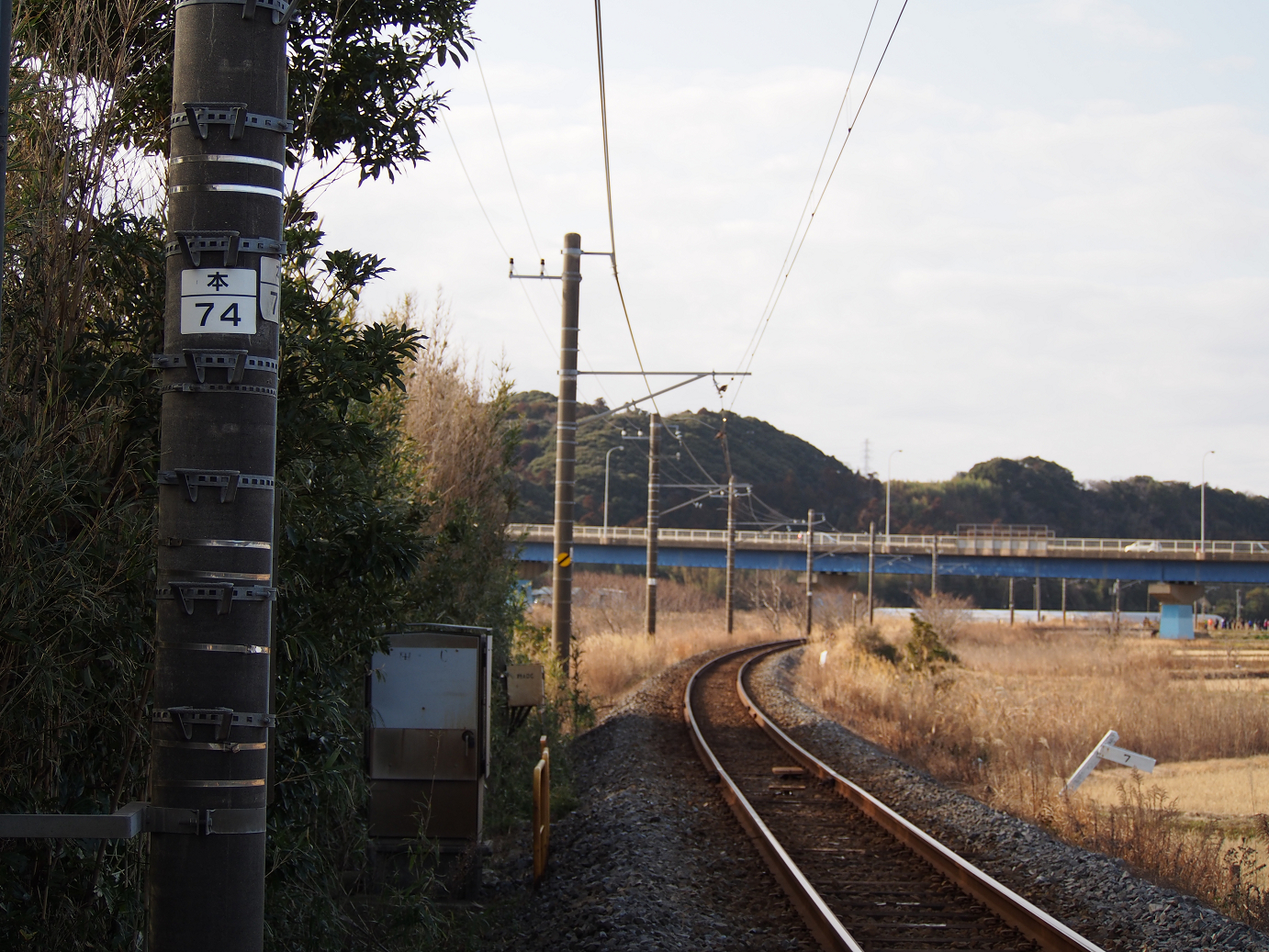 P203660.jpg