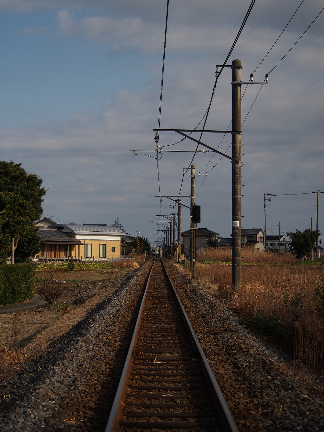 P203661.jpg