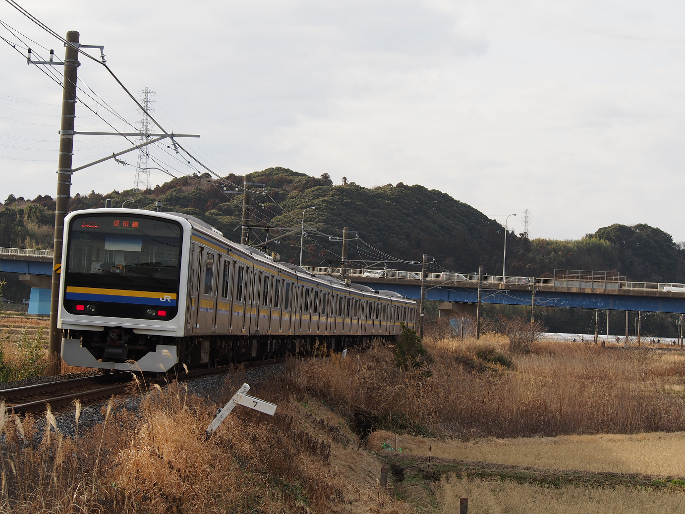P203662.jpg