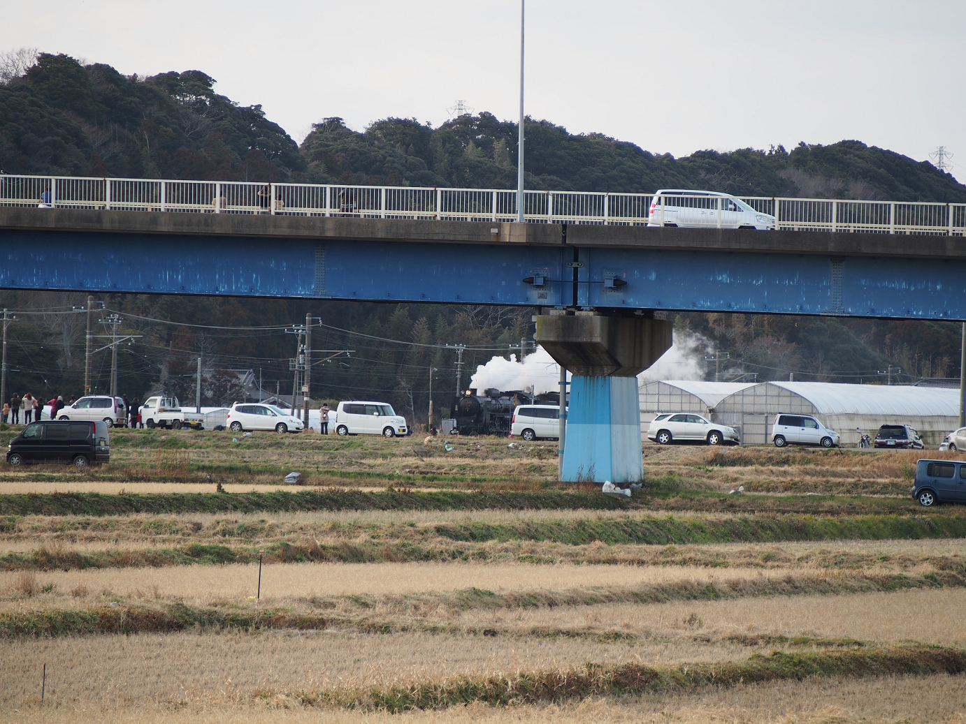 P203664.jpg