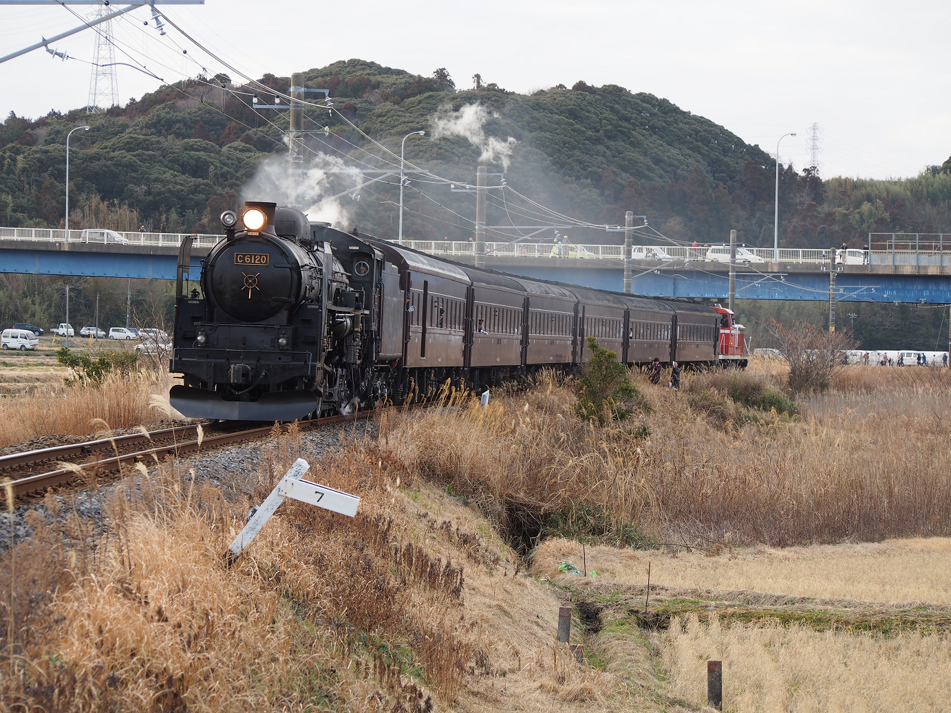 P203672.jpg