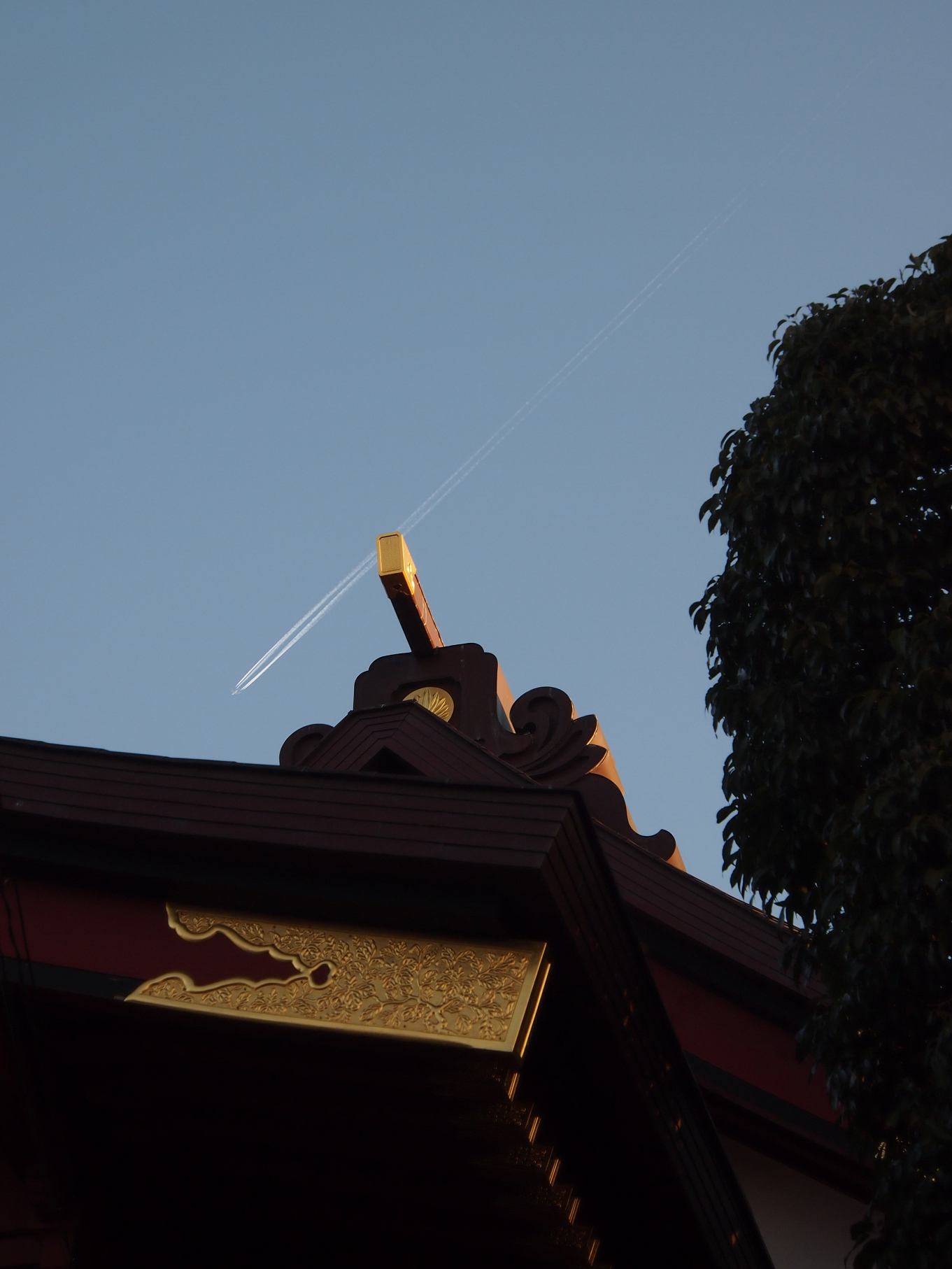 P2053667.jpg