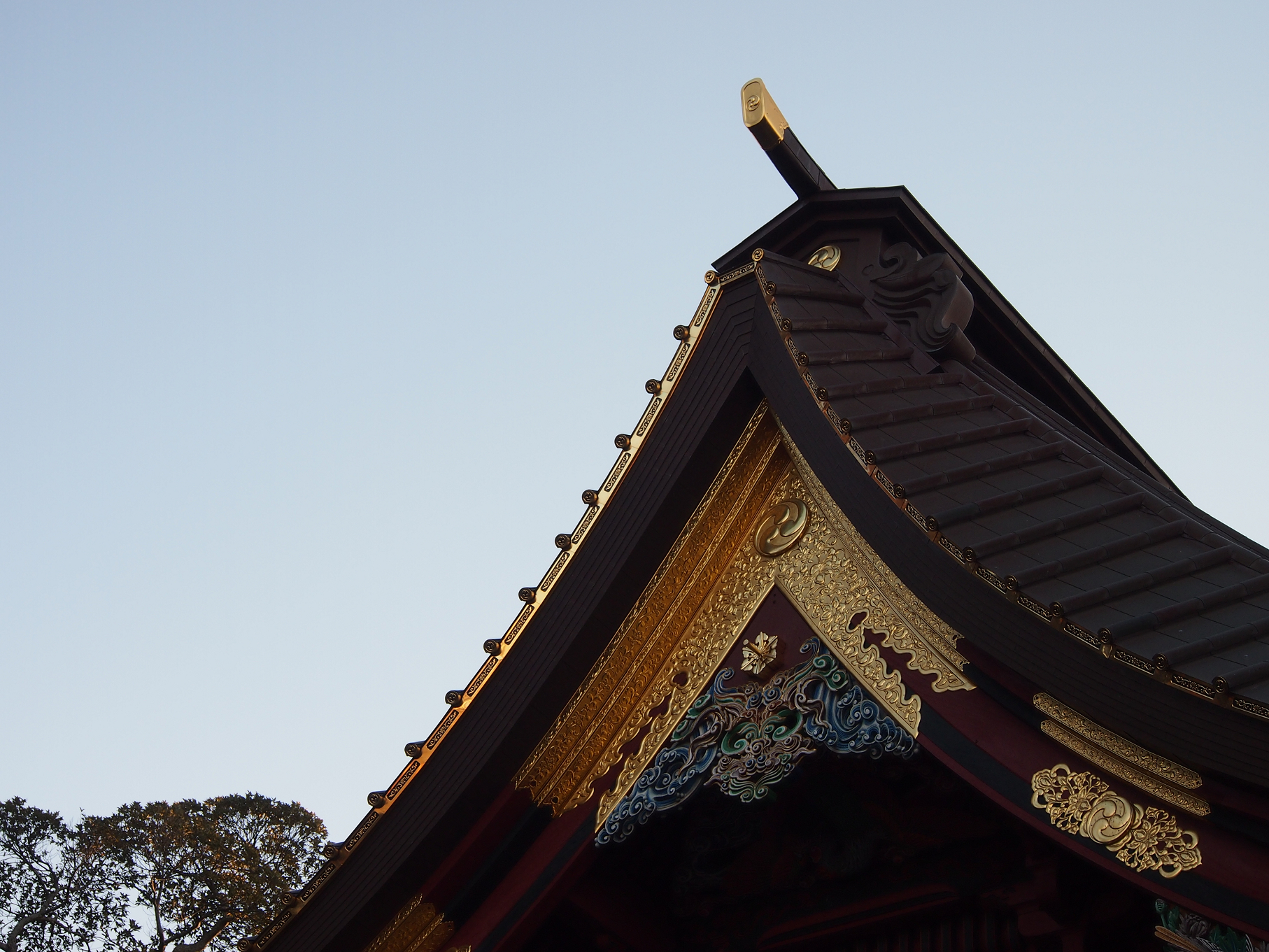 P2053685.jpg