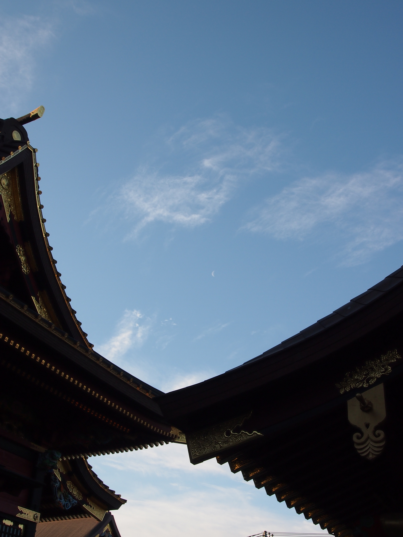 P2053687.jpg