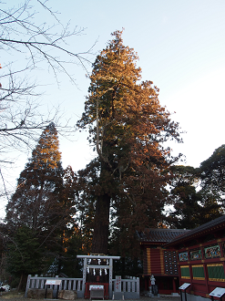 P2053688_thumb.png