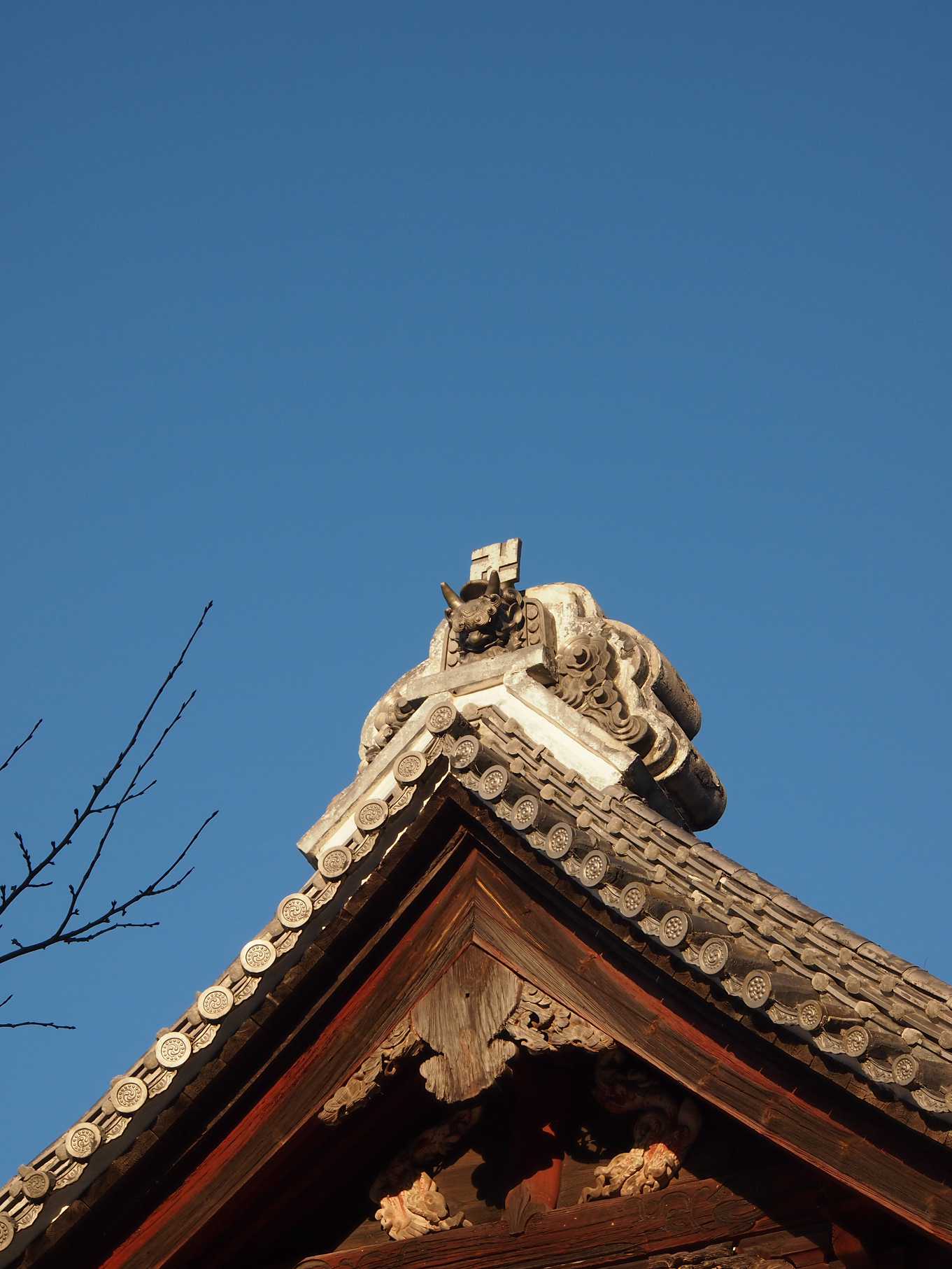 P2053690.jpg