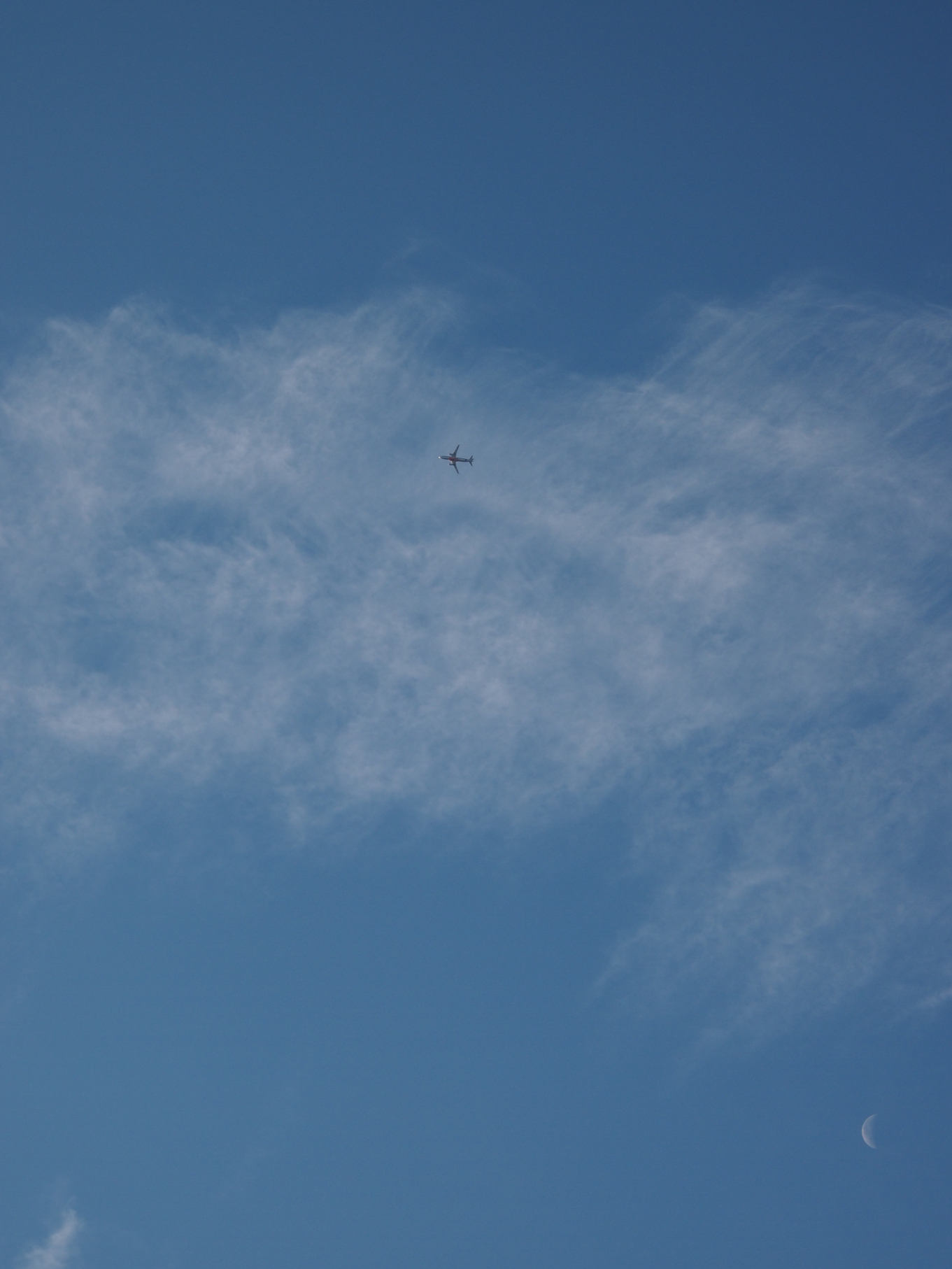 P2053691.jpg