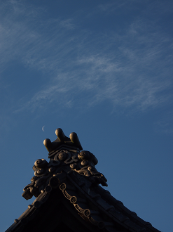 P2053694_thumb.png