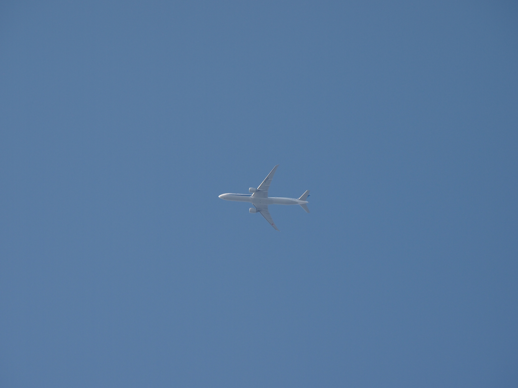 P2053717.jpg