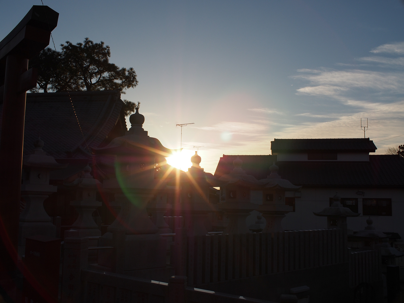 P2050540.jpg
