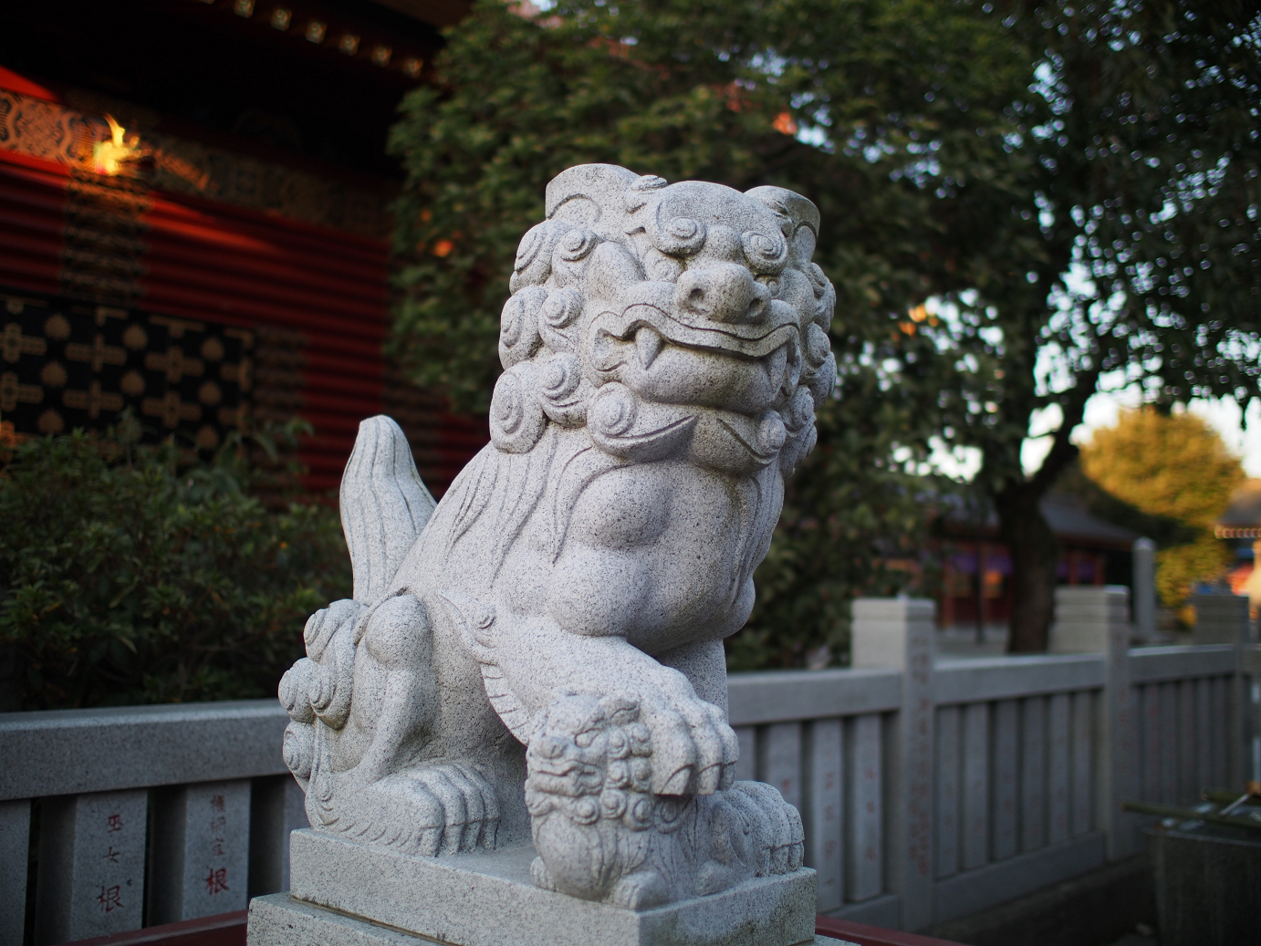 P2050545.jpg