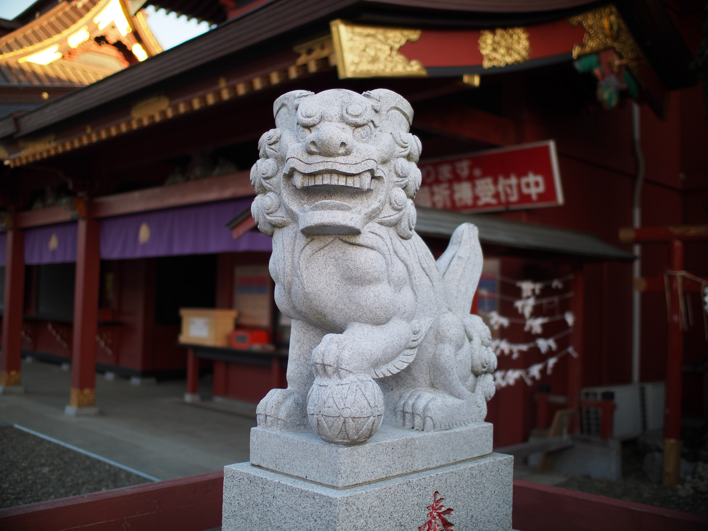 P2050546.jpg