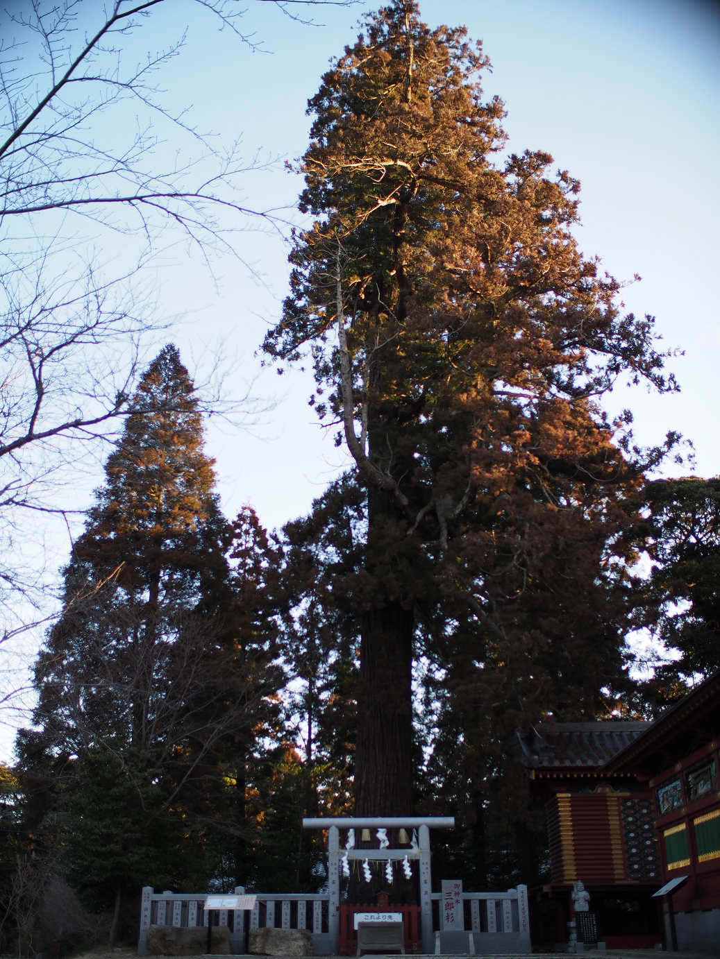 P2050592.jpg