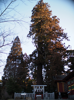 P2050592_thumb.png