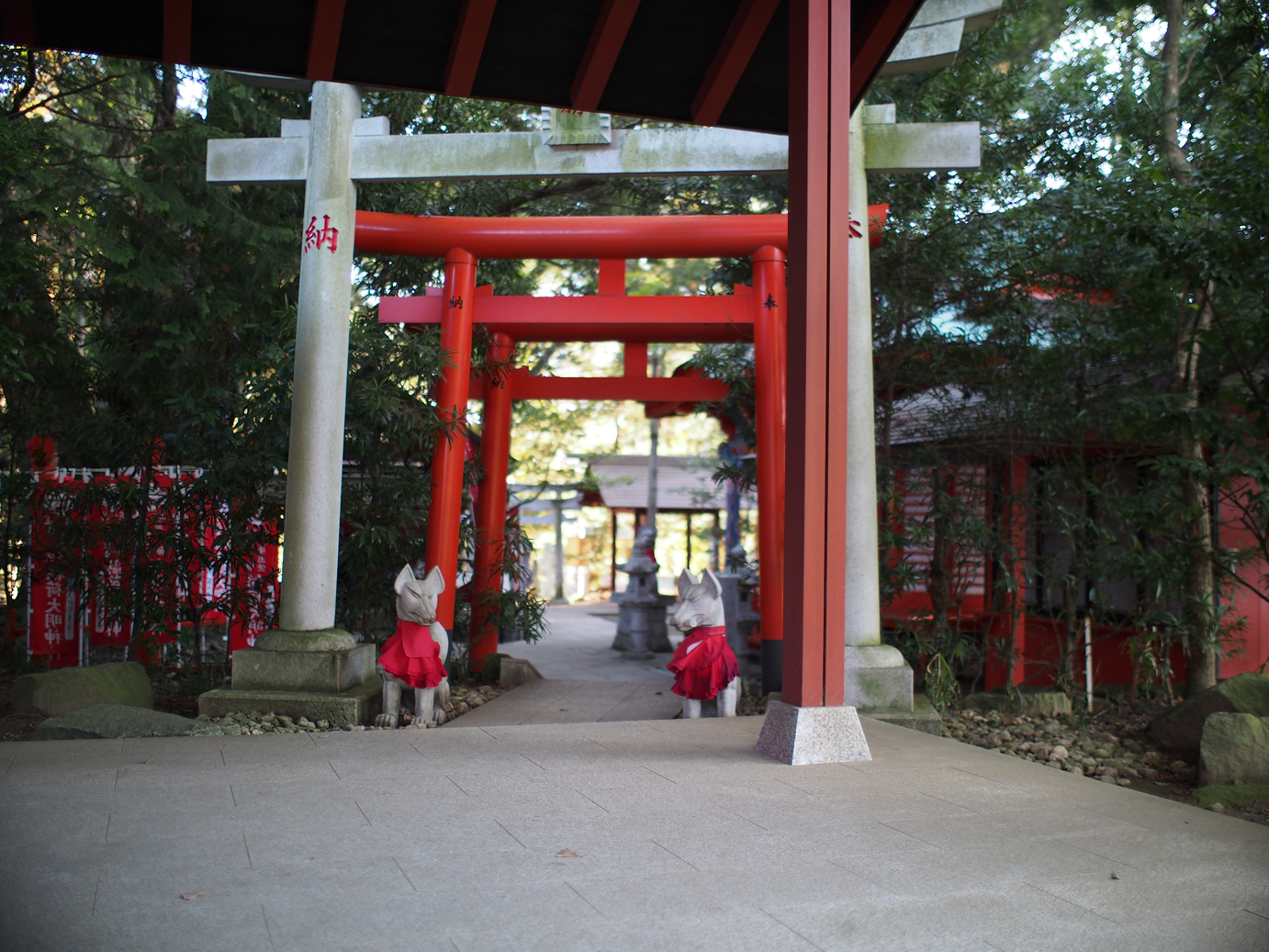 P2050630.jpg