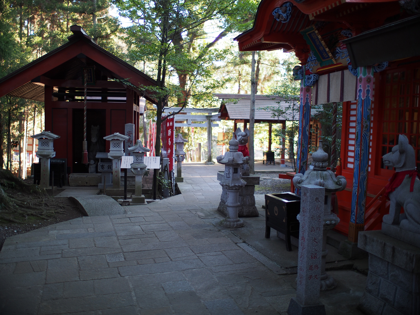 P2050633.jpg