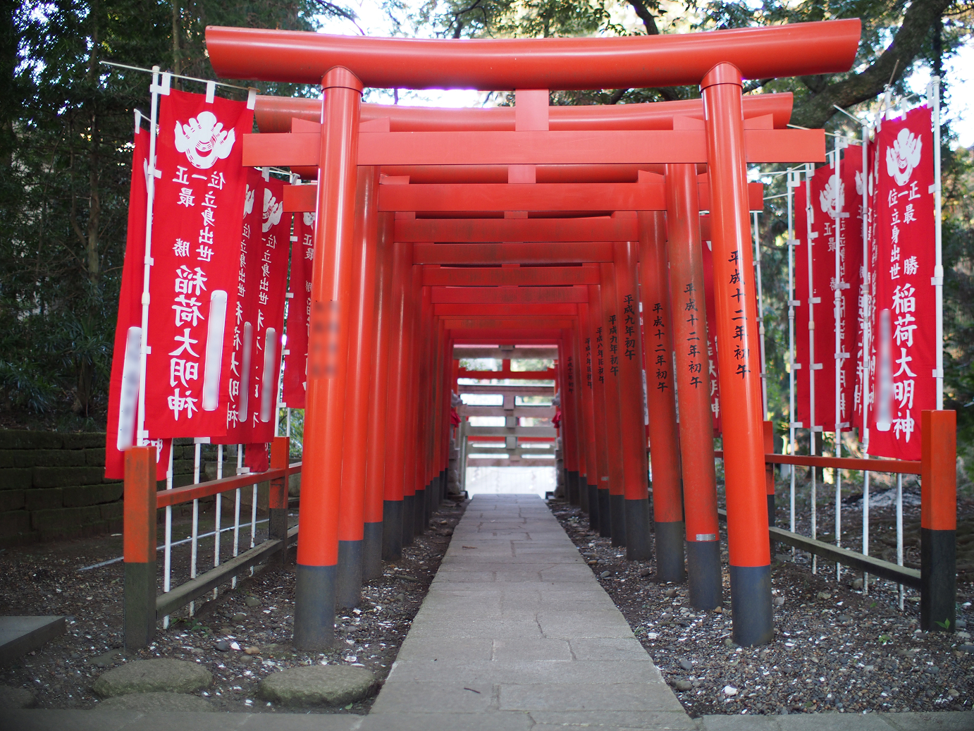 P2050635.jpg