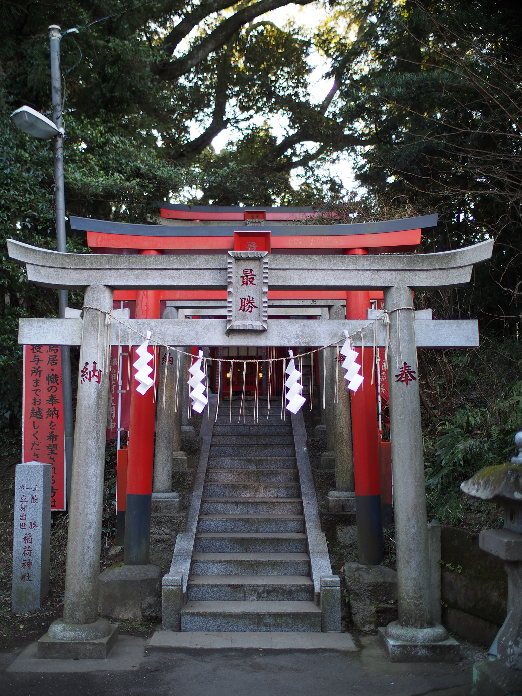 P2050644.jpg