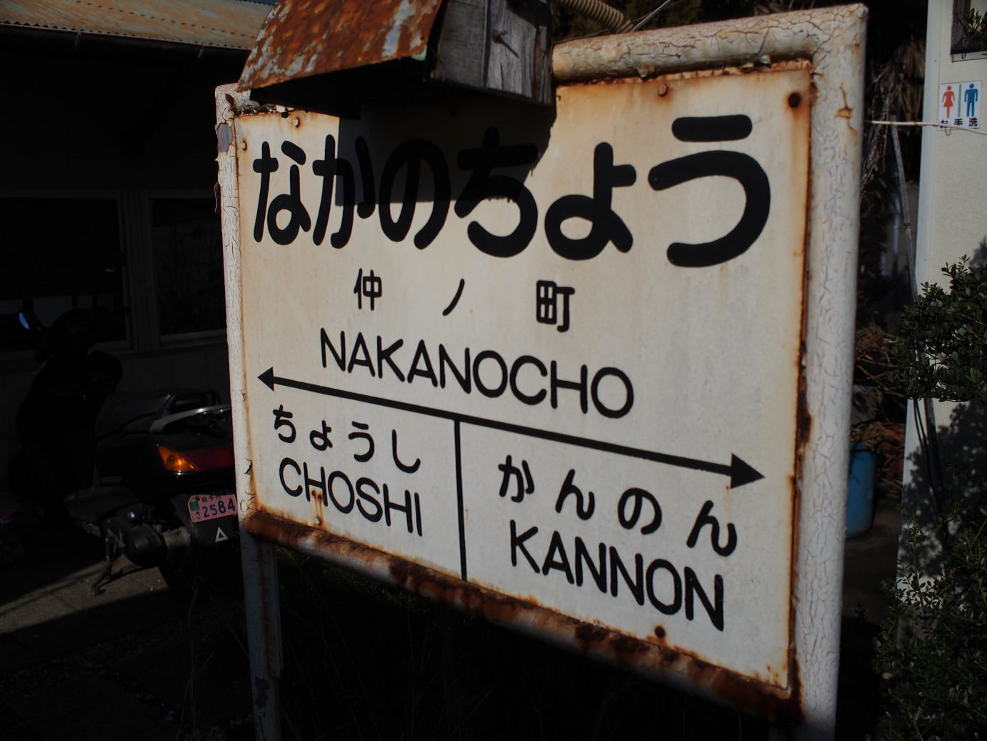 P2050672.jpg
