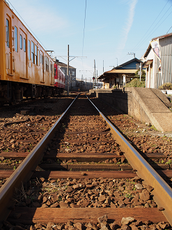 P2050747_thumb.png