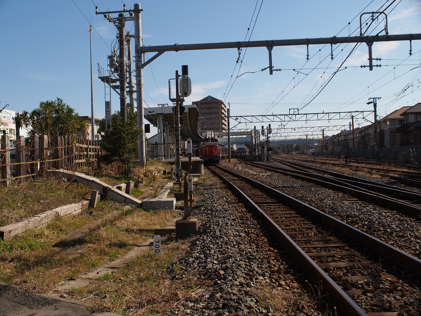 P2050768.jpg