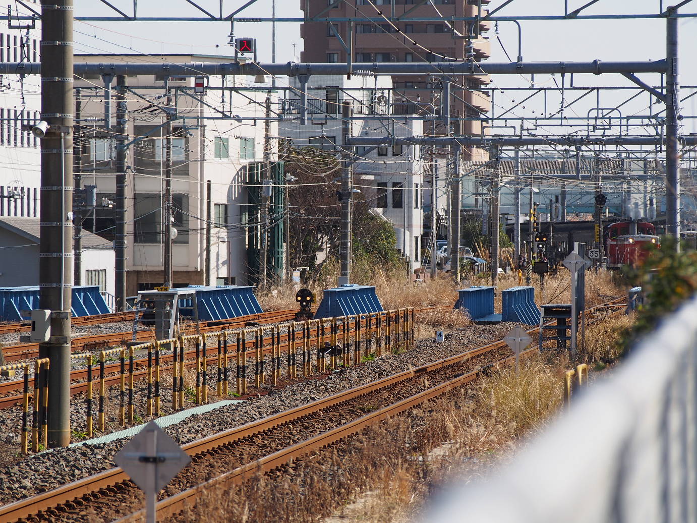 P2050771.jpg