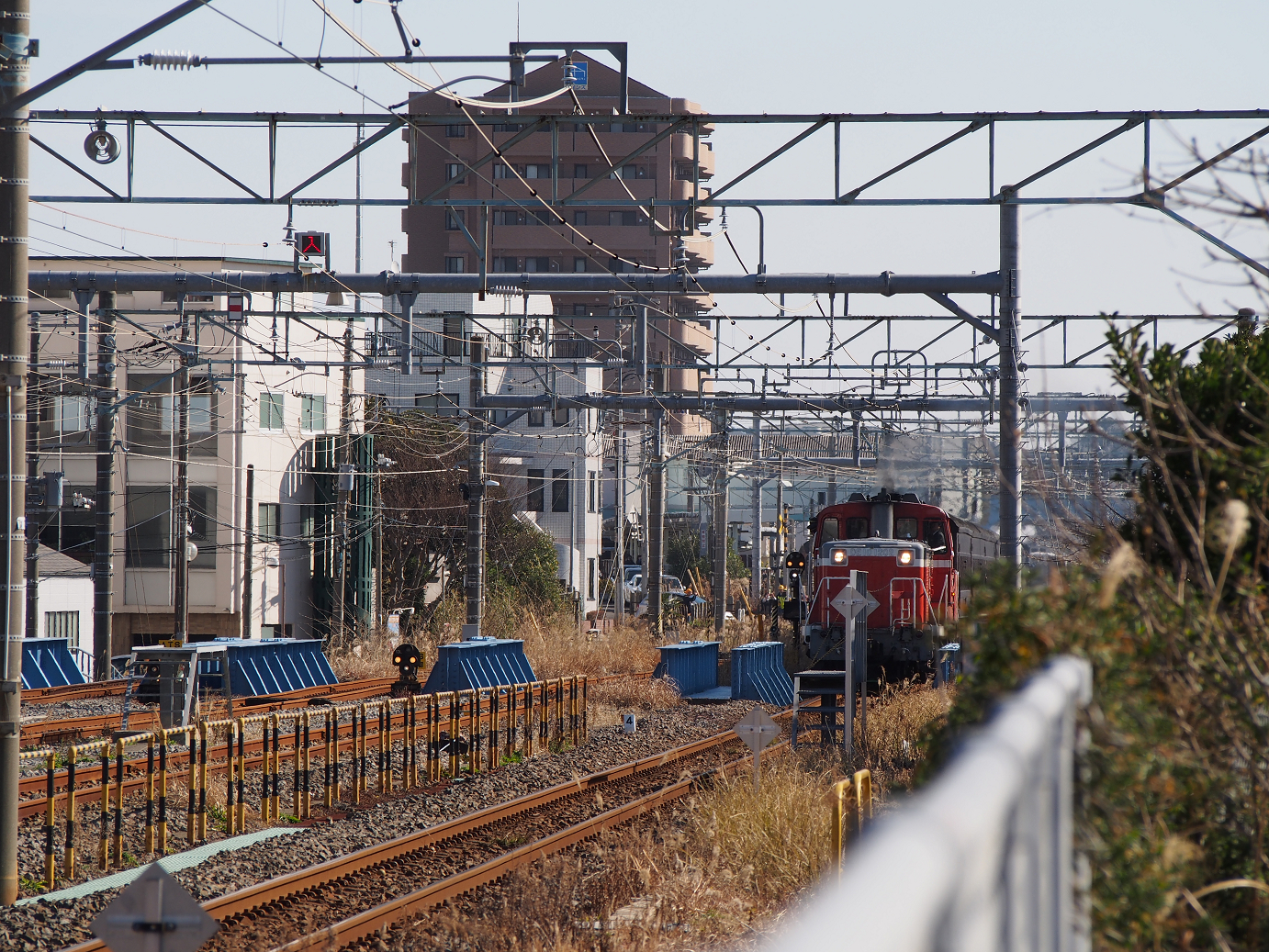 P2050774.jpg