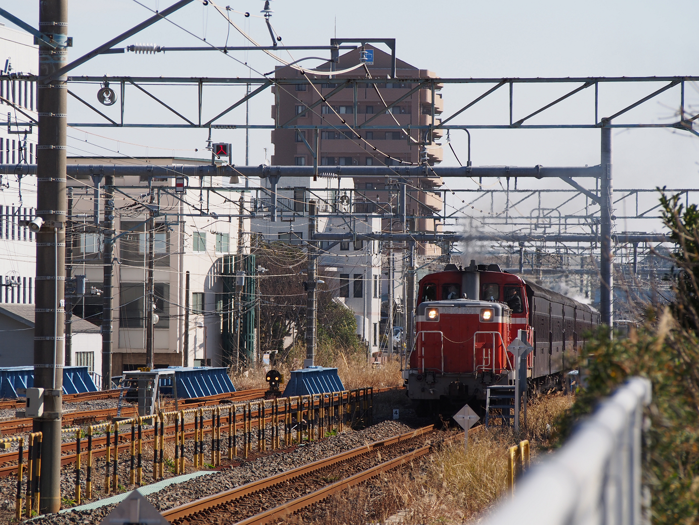 P2050776.jpg