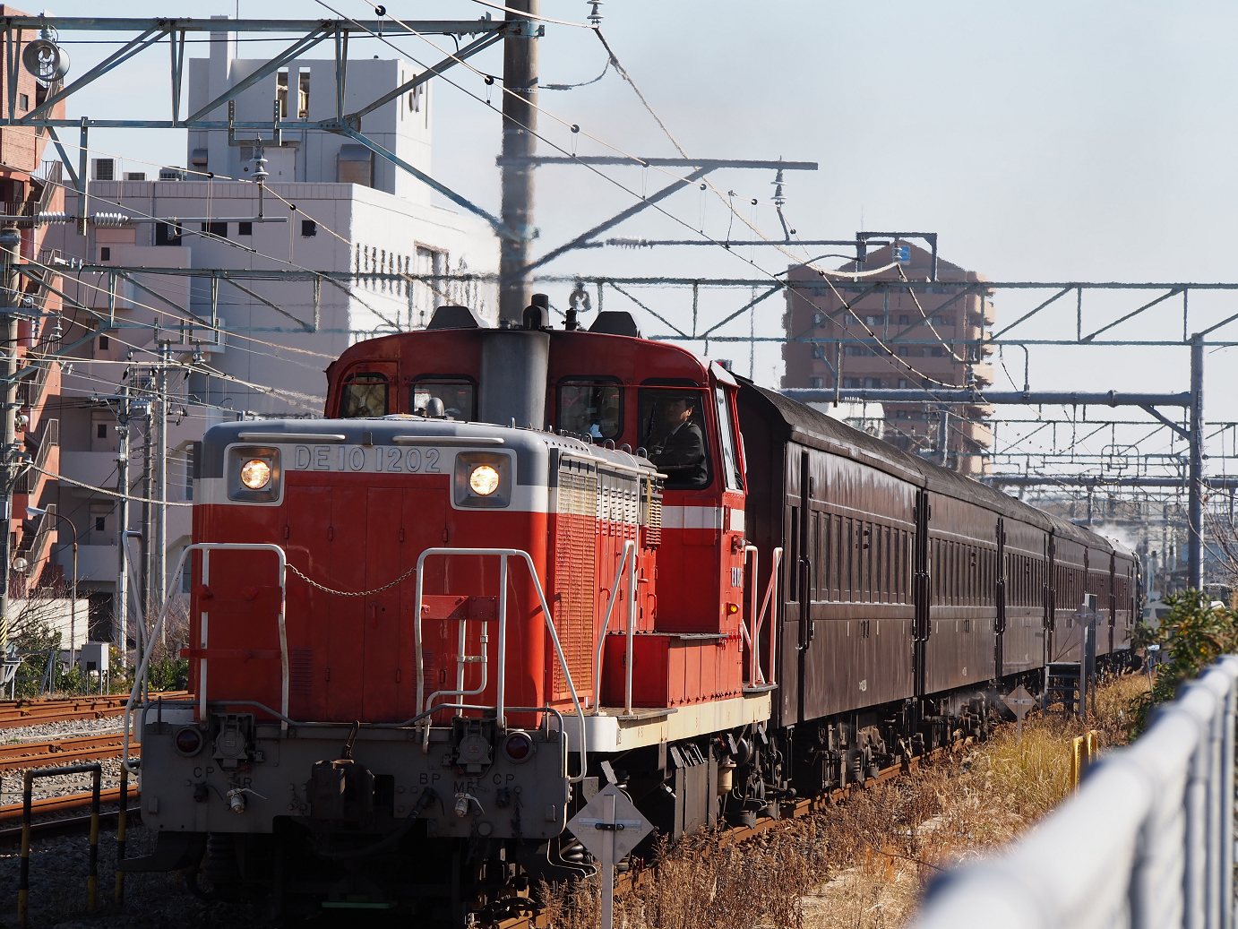 P2050780.jpg
