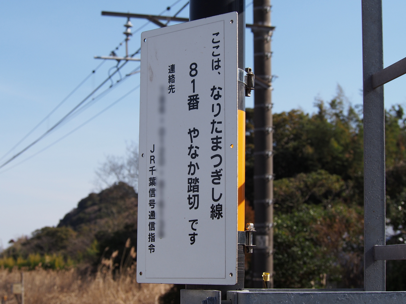 P2050790.jpg