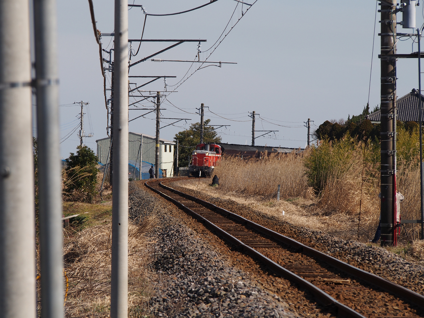 P2050793.jpg