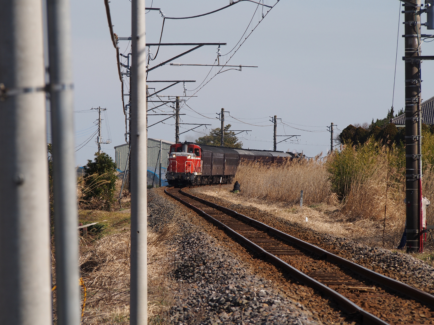 P2050797.jpg