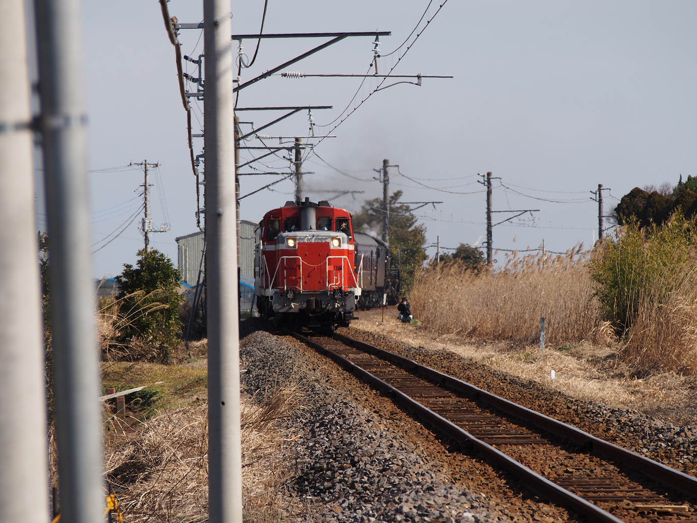 P2050803.jpg