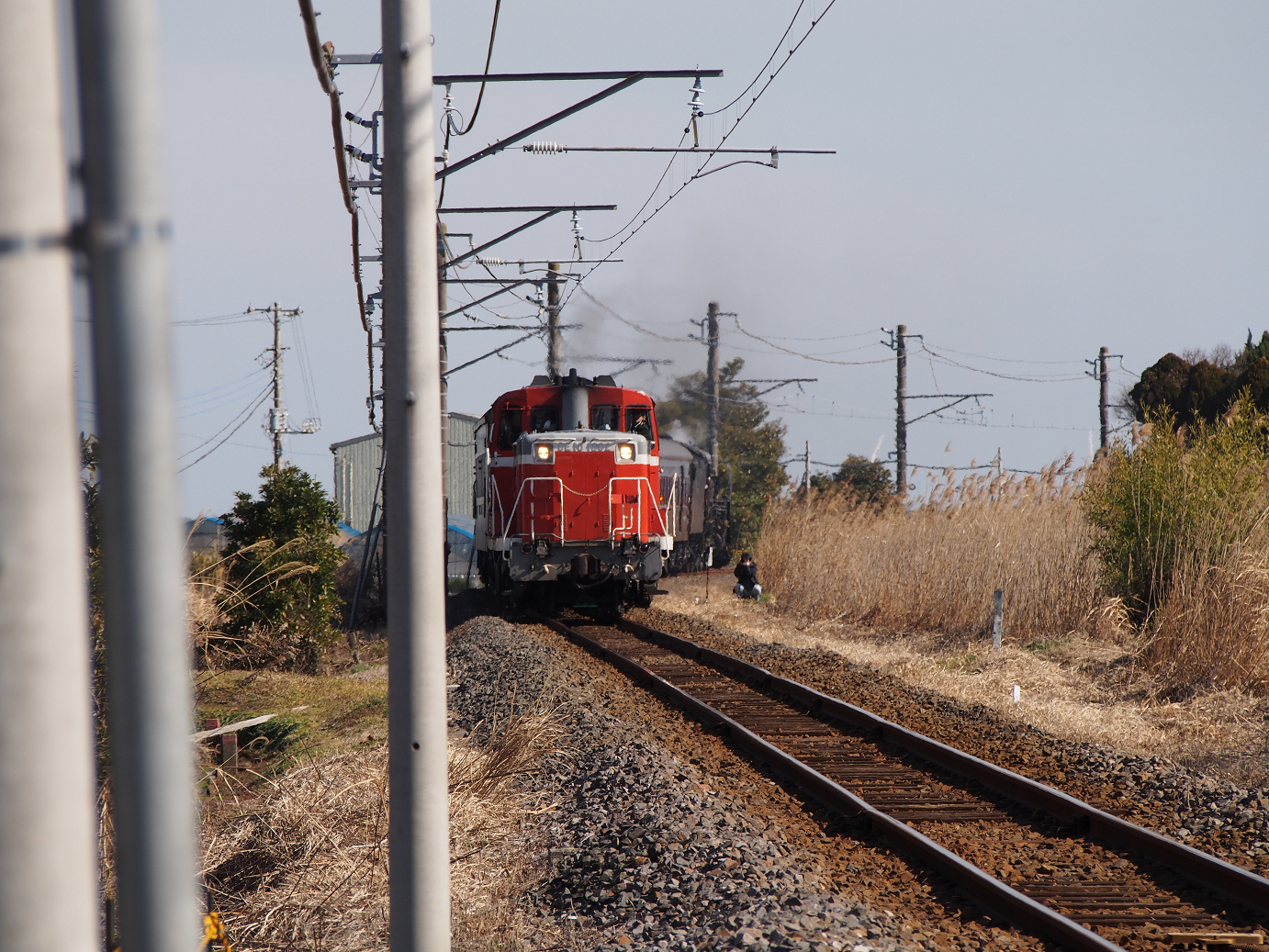 P2050805.jpg