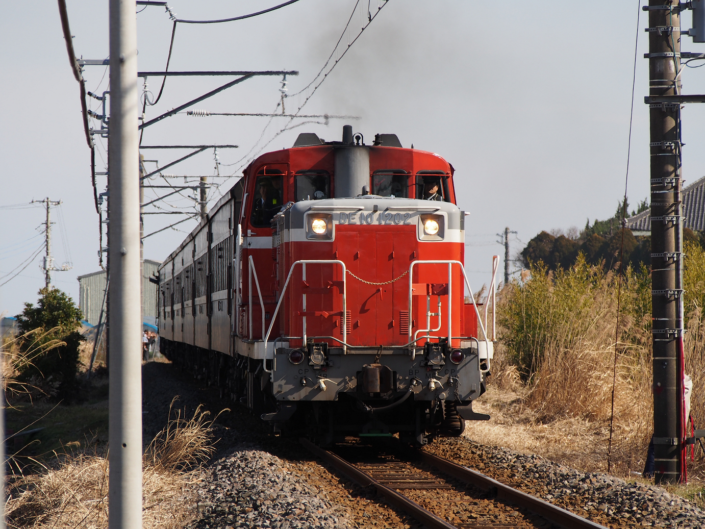 P2050813.jpg