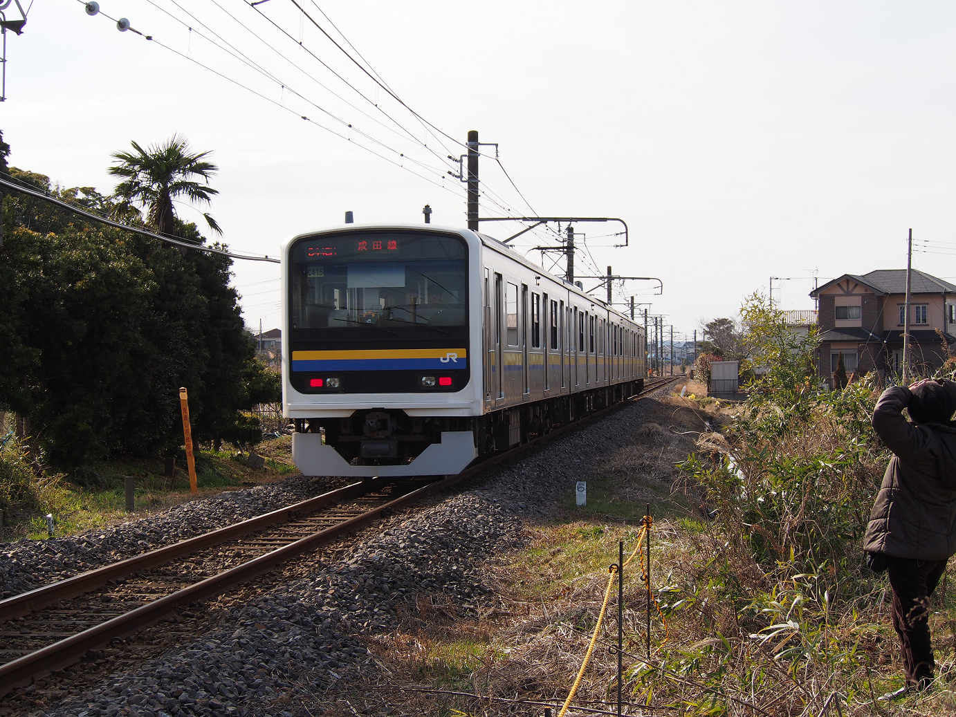 P2050844.jpg